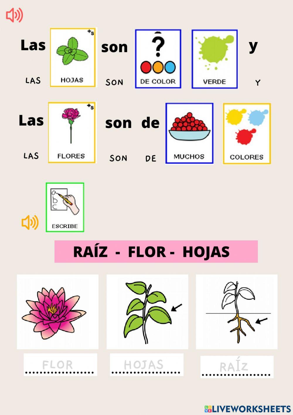 Ficha interactiva las plantas