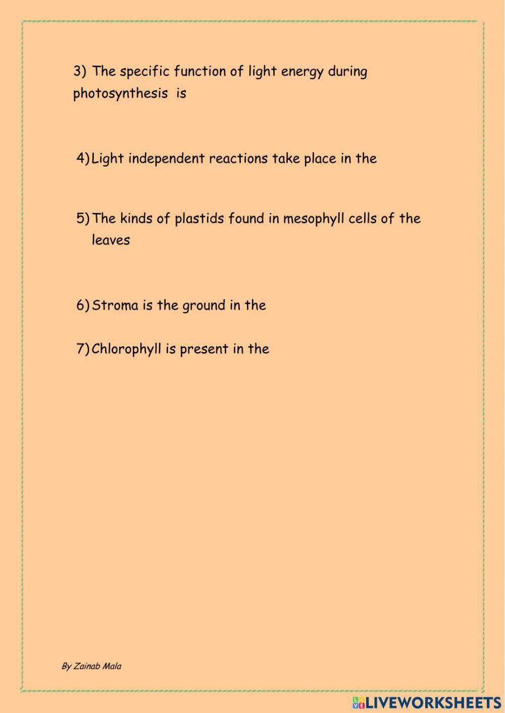 Structure of Chloroplast