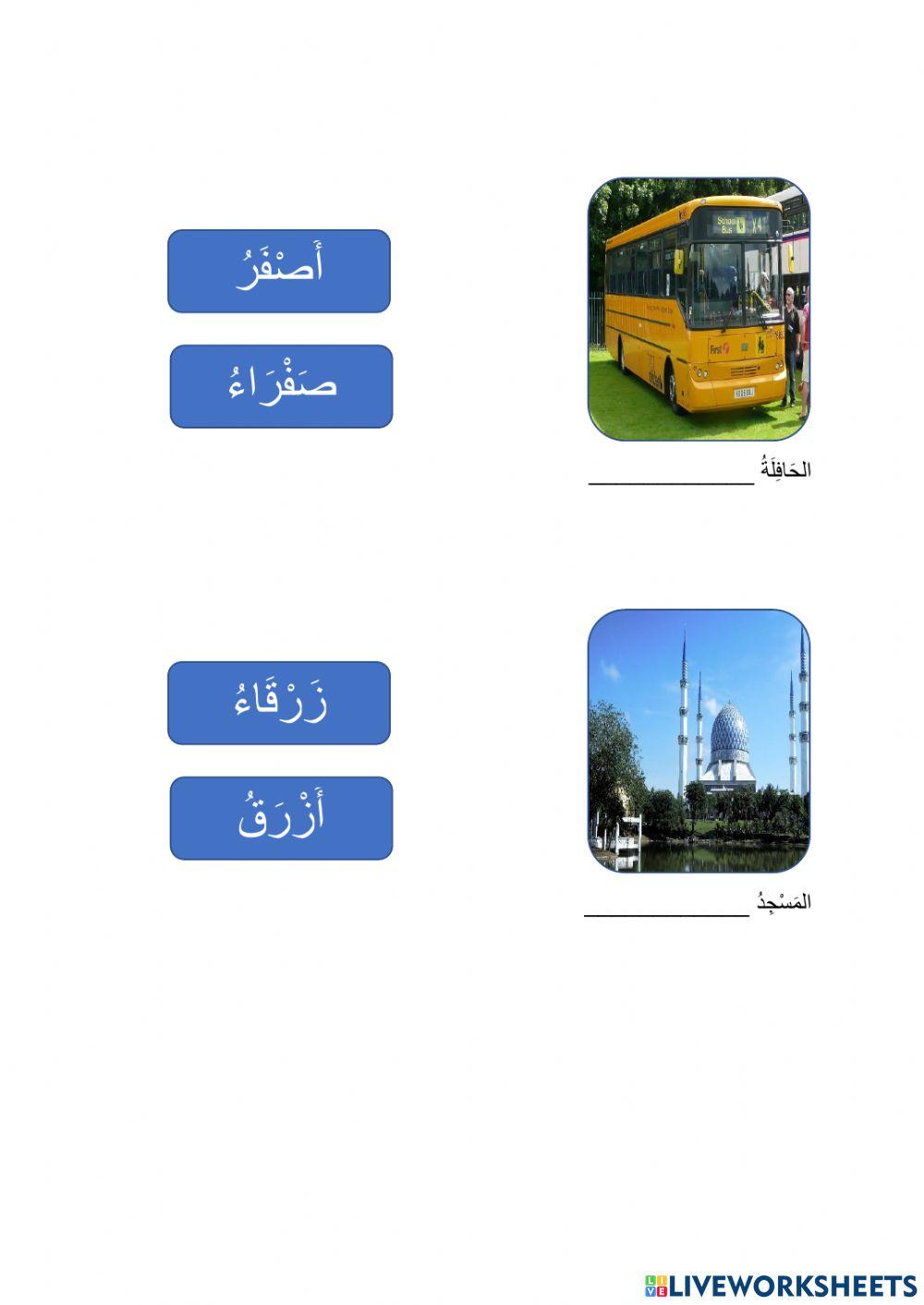 الألوان - colours