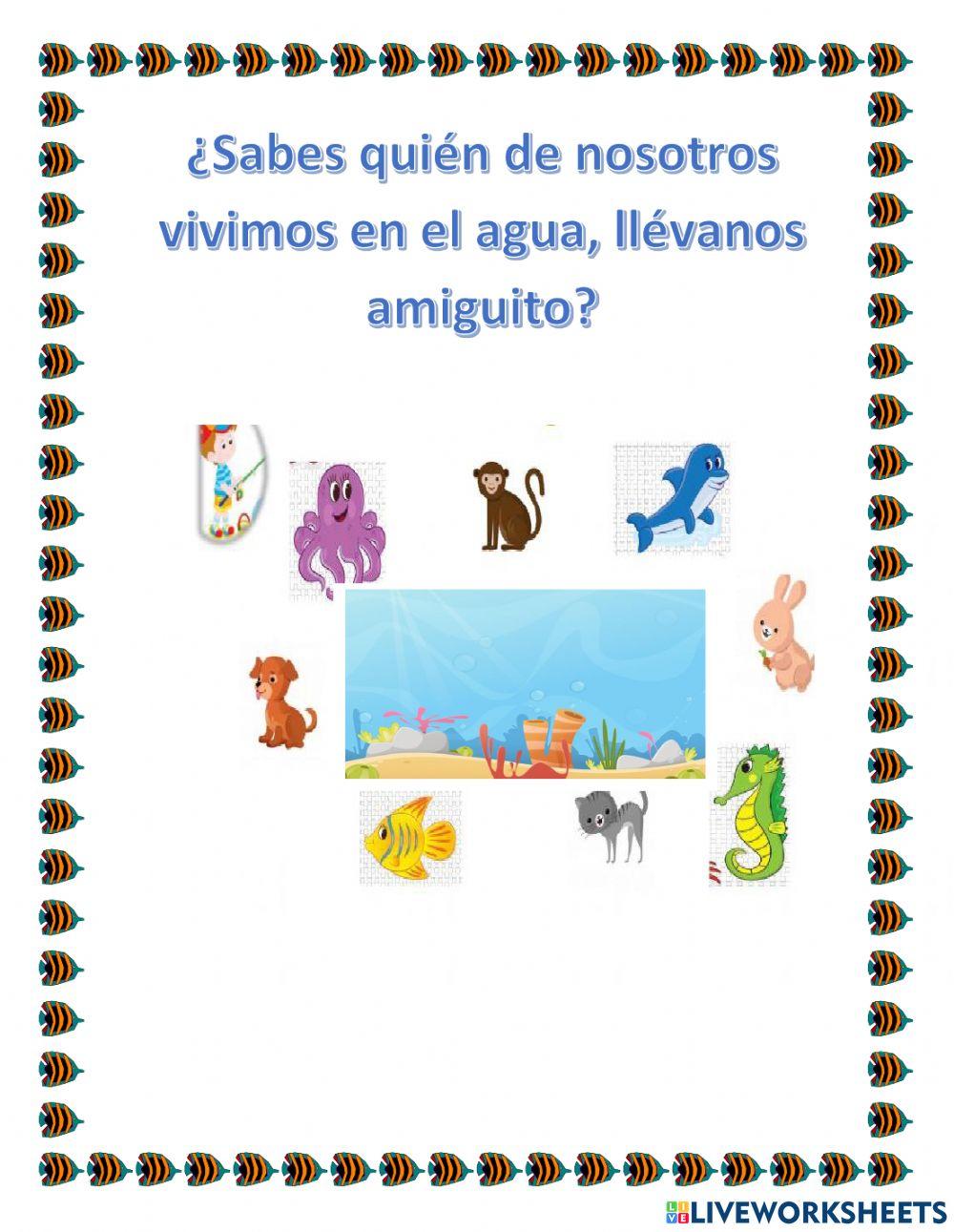 Animales acuaticos