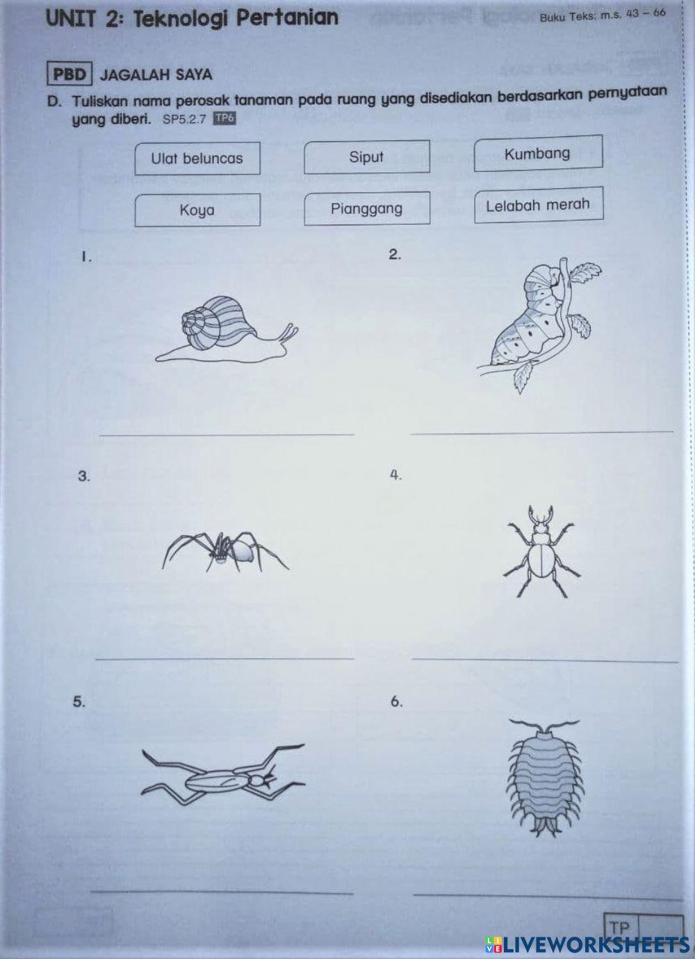 Haiwan PerosakTanaman