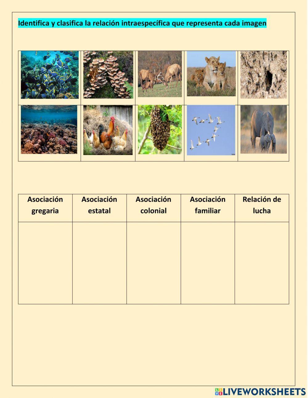 Relaciones en los ecosistemas