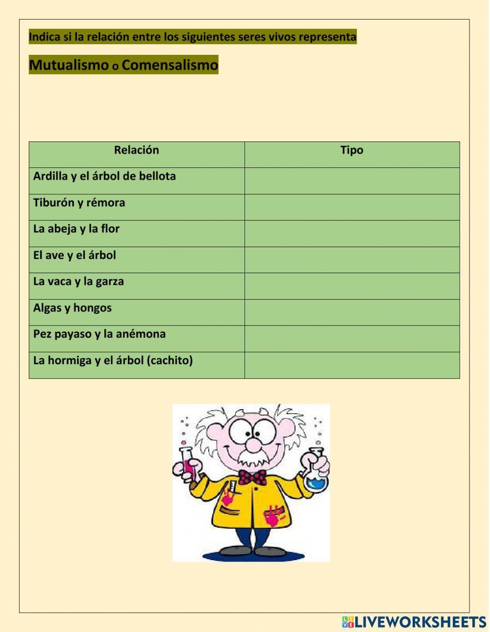 Relaciones en los ecosistemas