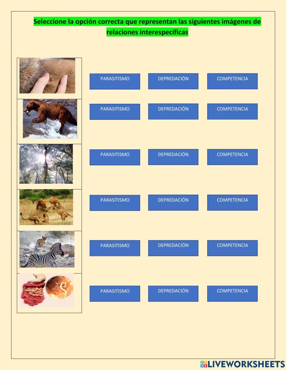 Relaciones en los ecosistemas