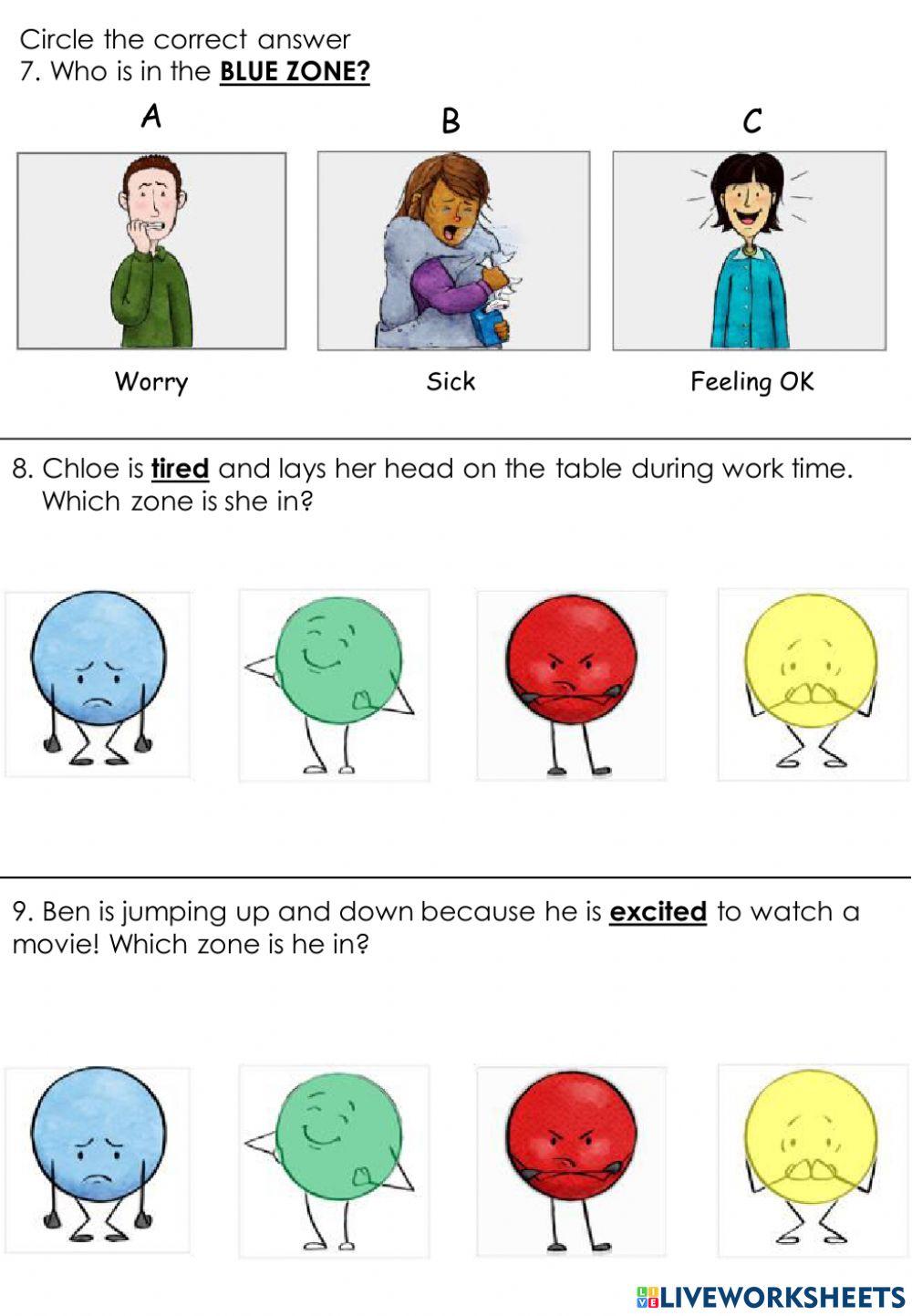 Zone of Regulations-Identifying Zones