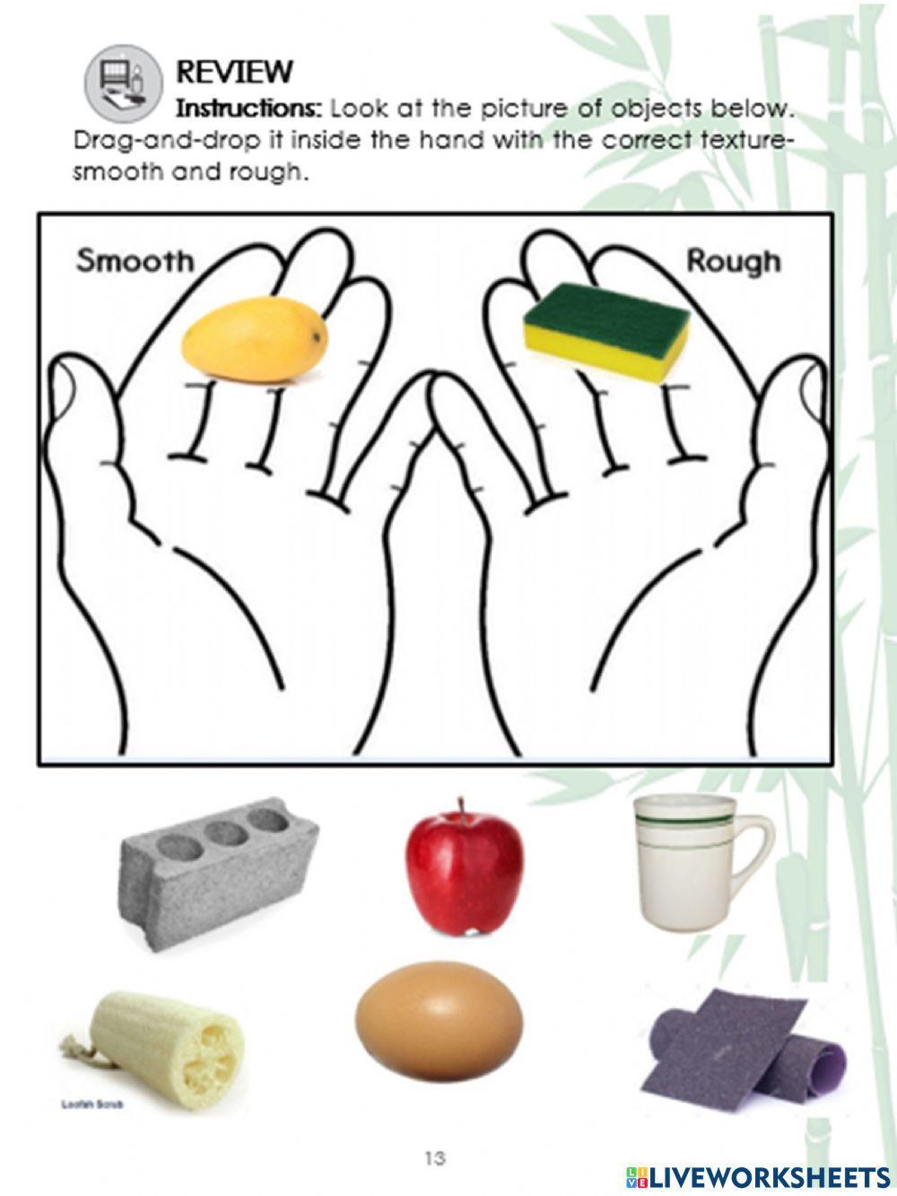 Smooth and Rough worksheet