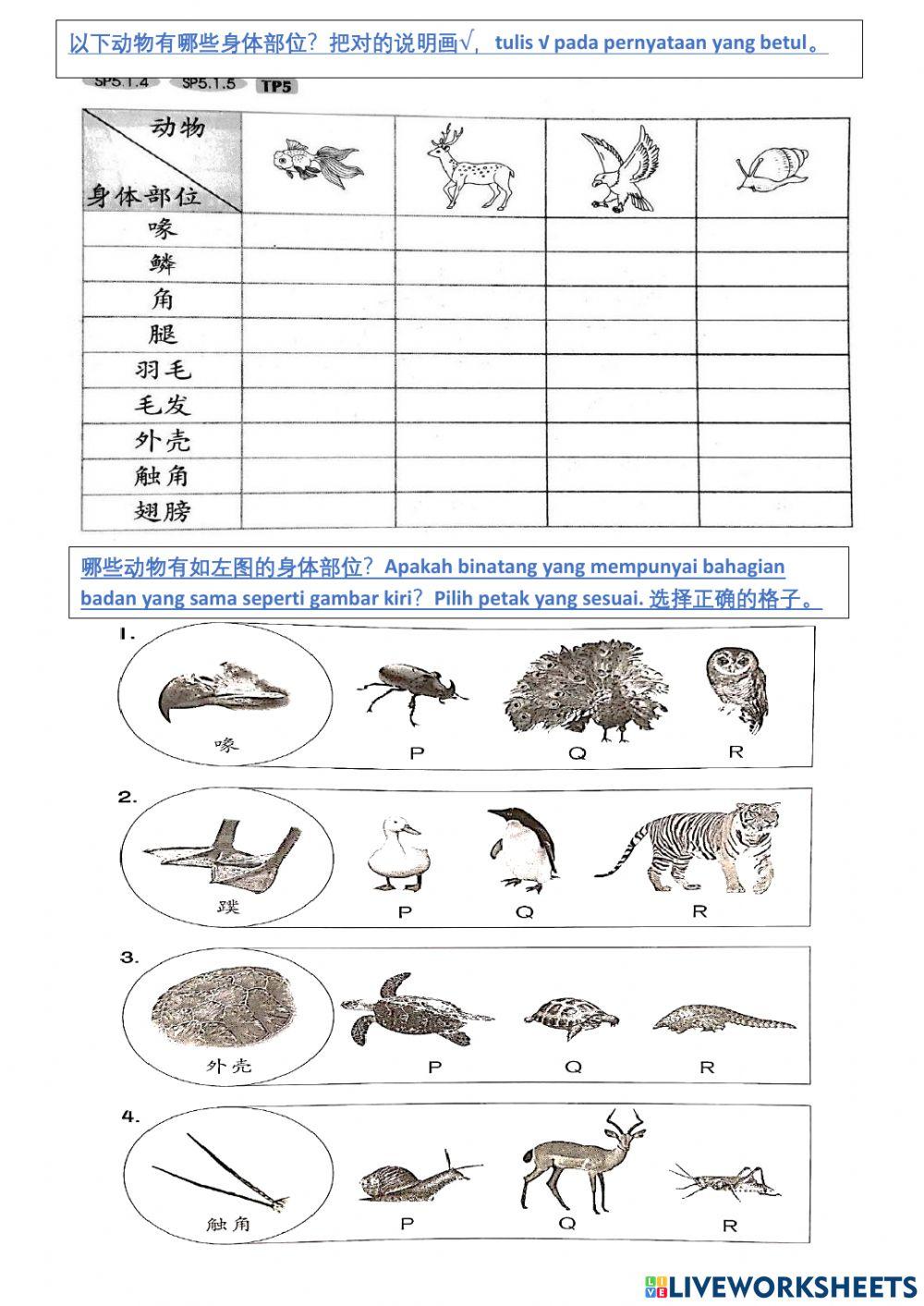 Pbd 5：第5课——动物的身体部位-重要性