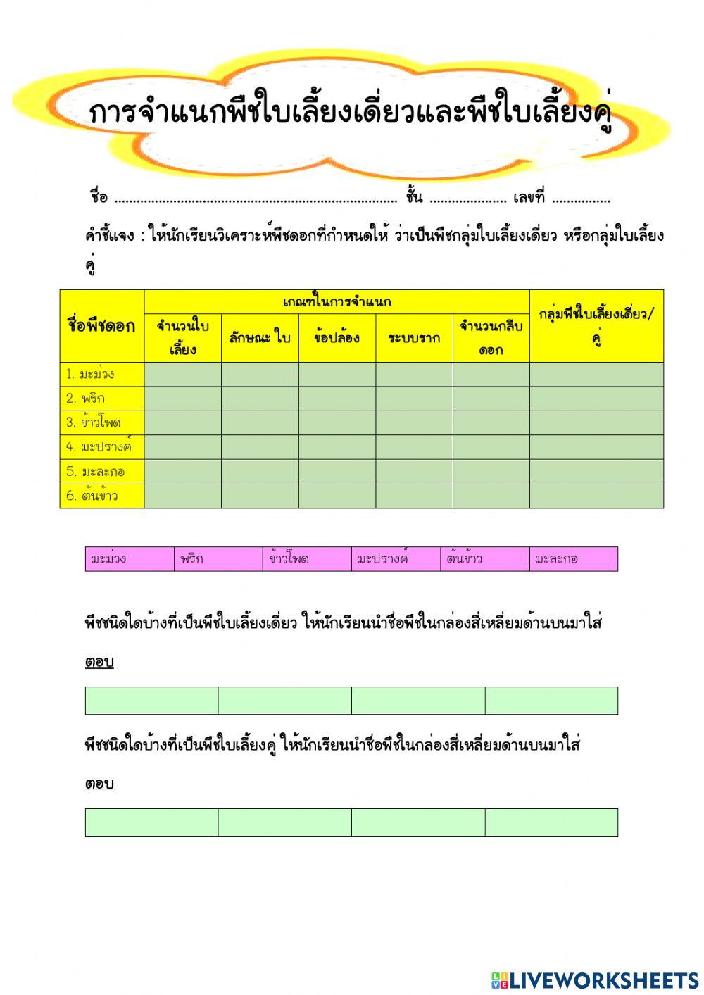 พืชใบเลี้ยงเดี่ยว พืชใบเลี้ยงคู่