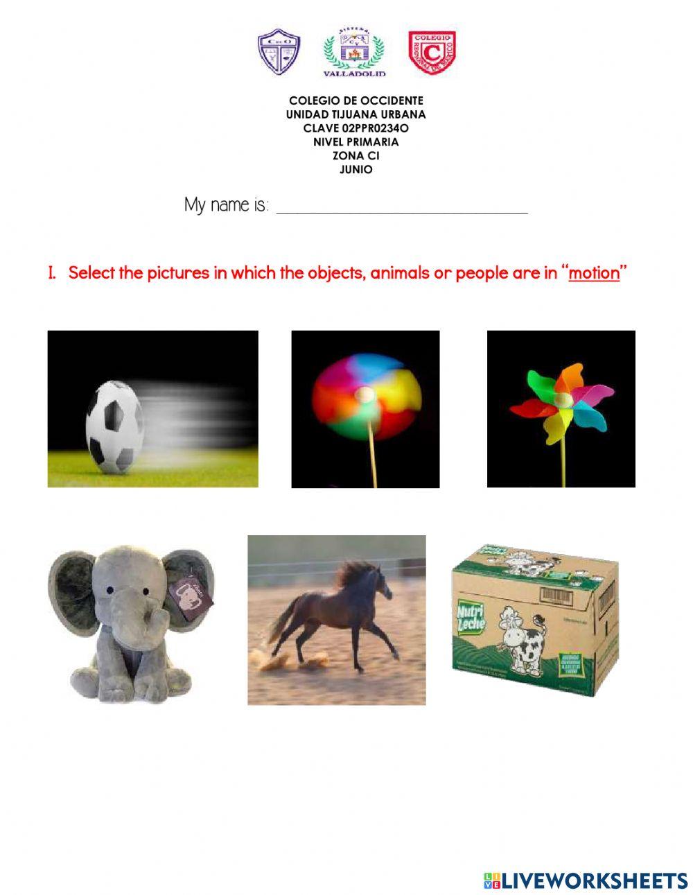 Examen science Junio 3AP