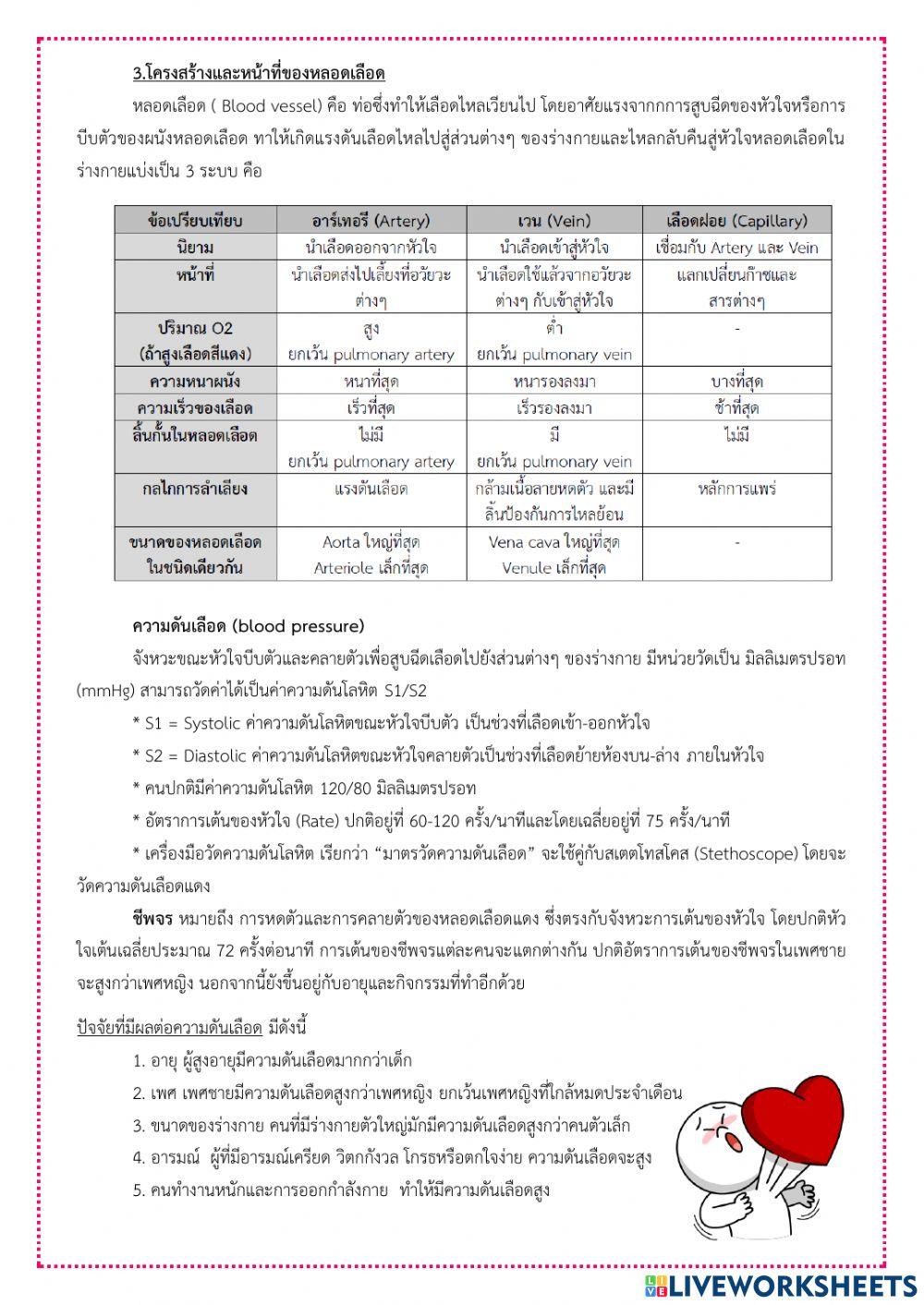 ระบบหมุนเวียนเลือด