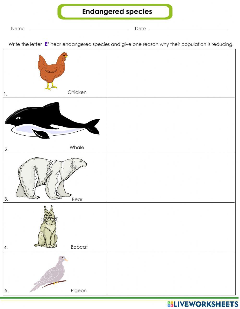 Endangered Species 2 worksheet Live Worksheets