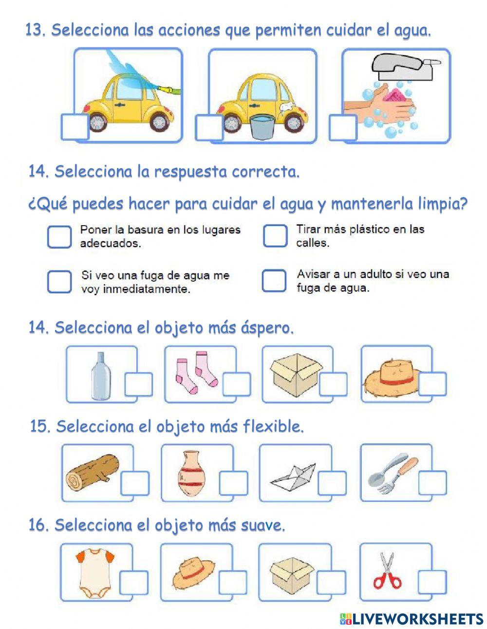 Conocimiento del medio Evaluación
