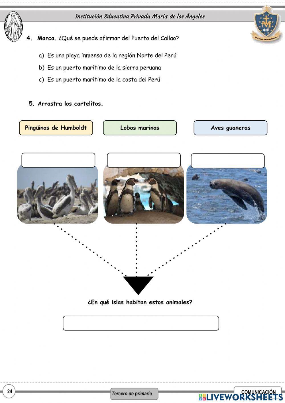 Descrpciónde  un lugar