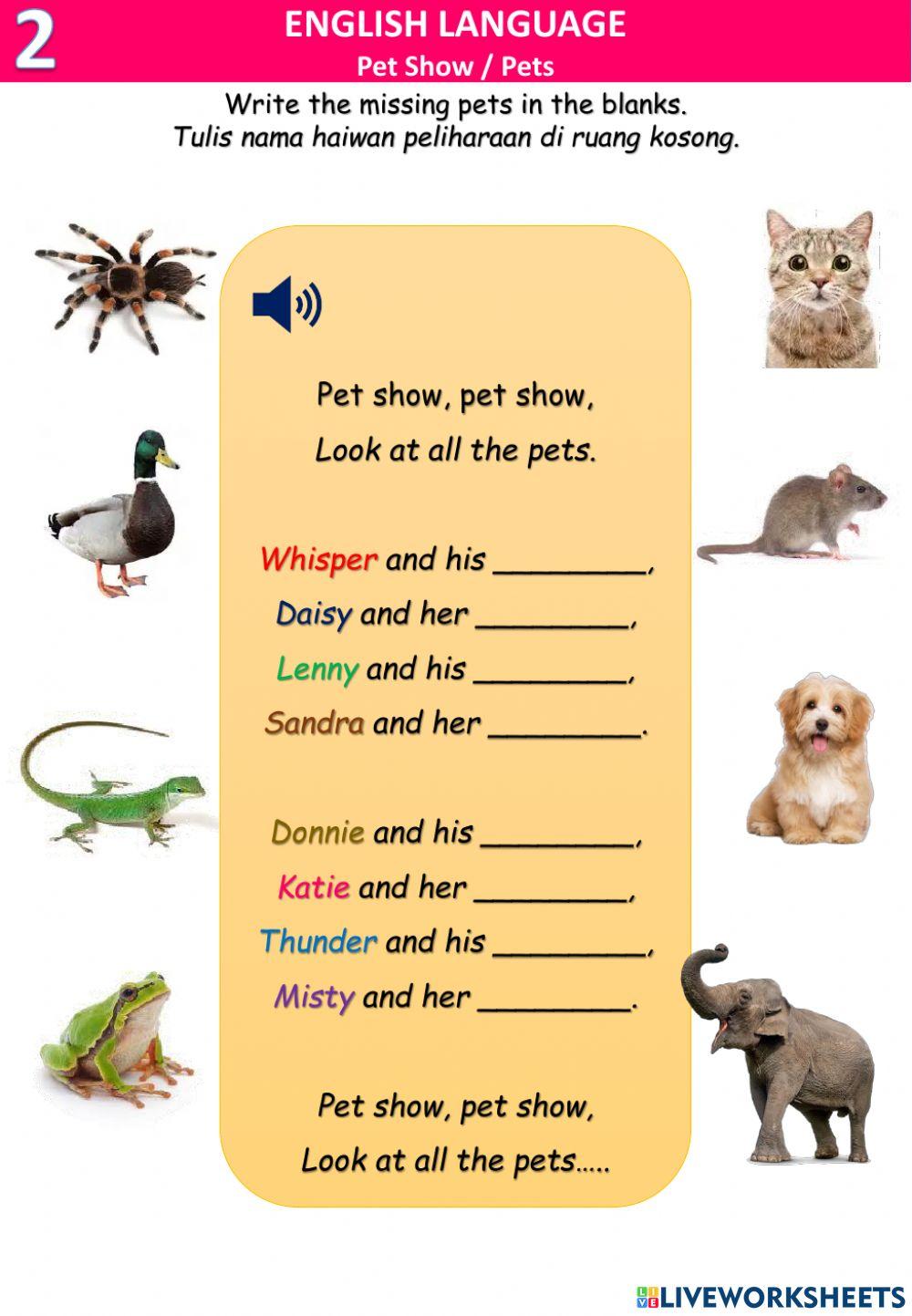 Pet show -pets