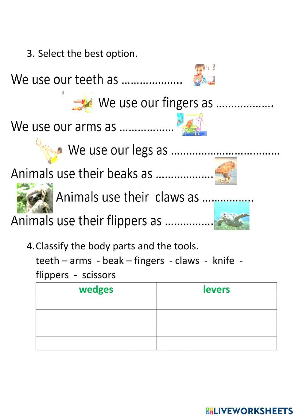 Body parts as simple machines