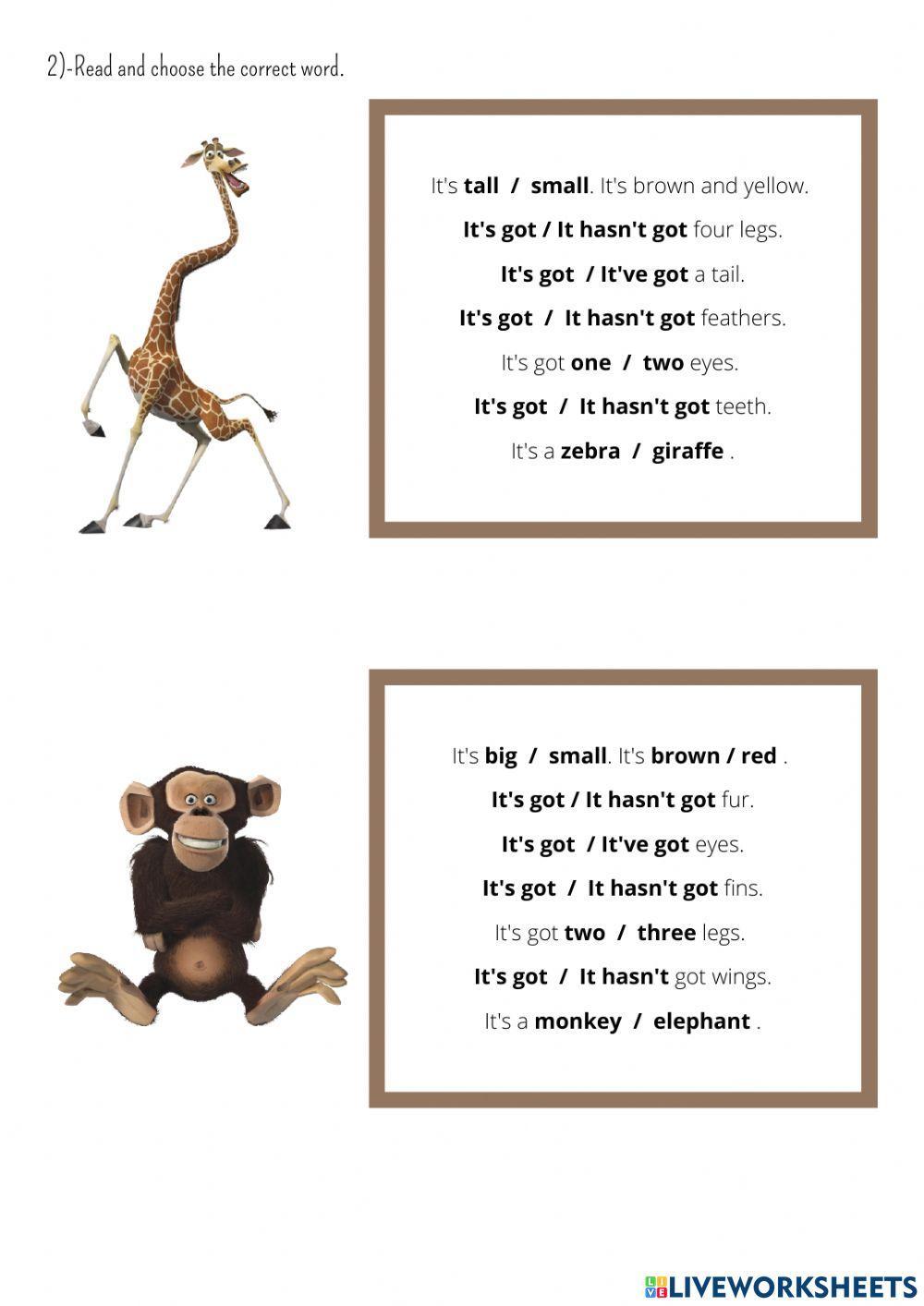 Animals parts of the body