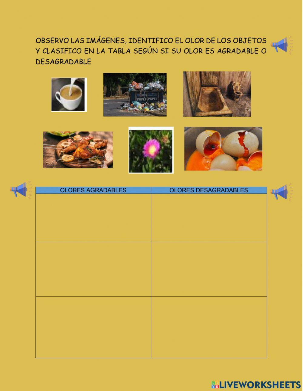 Los órganos de los sentidos