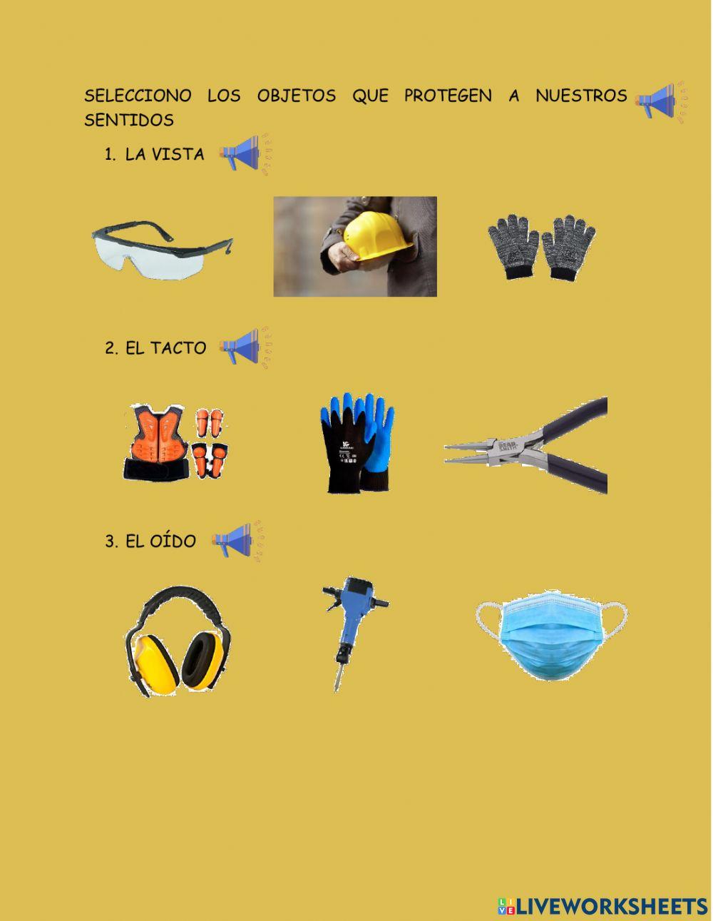 Los órganos de los sentidos