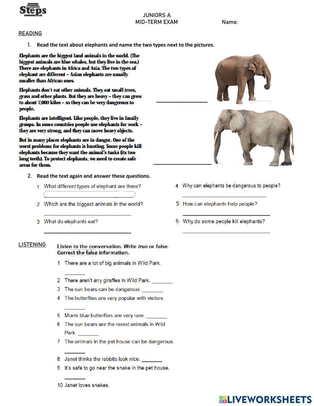 Juniors A - Mid-term exam