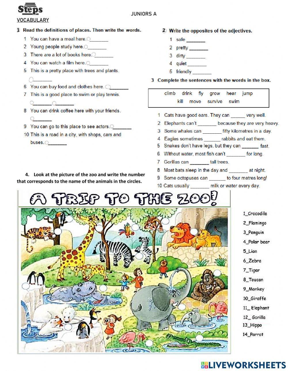 Juniors A - Mid-term exam