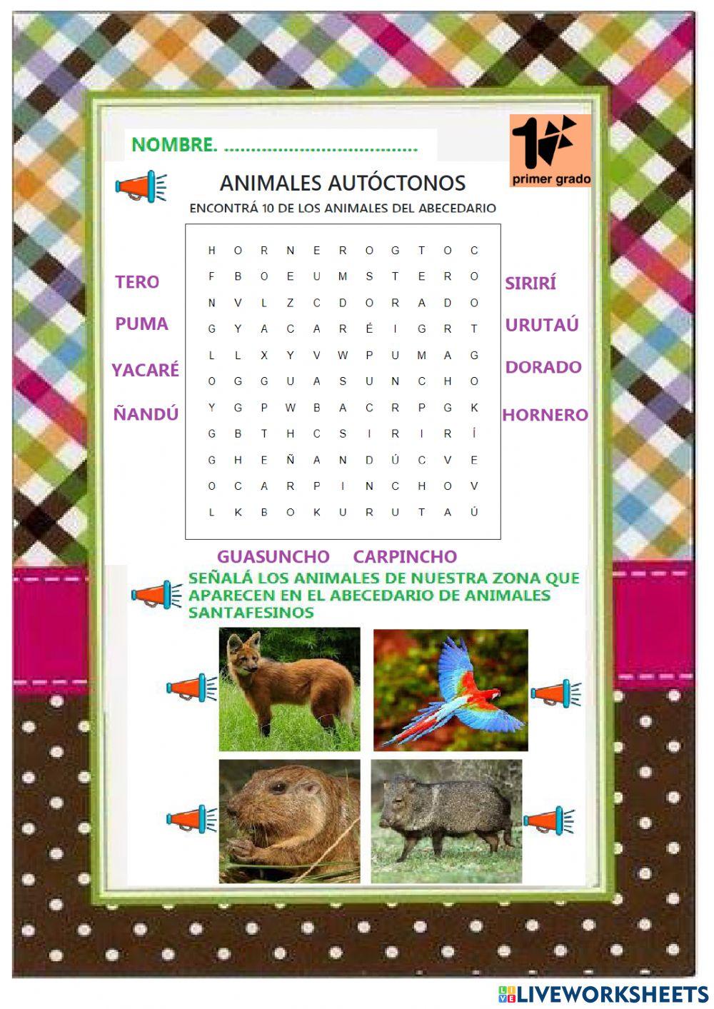 Sopa de animales autóctonos
