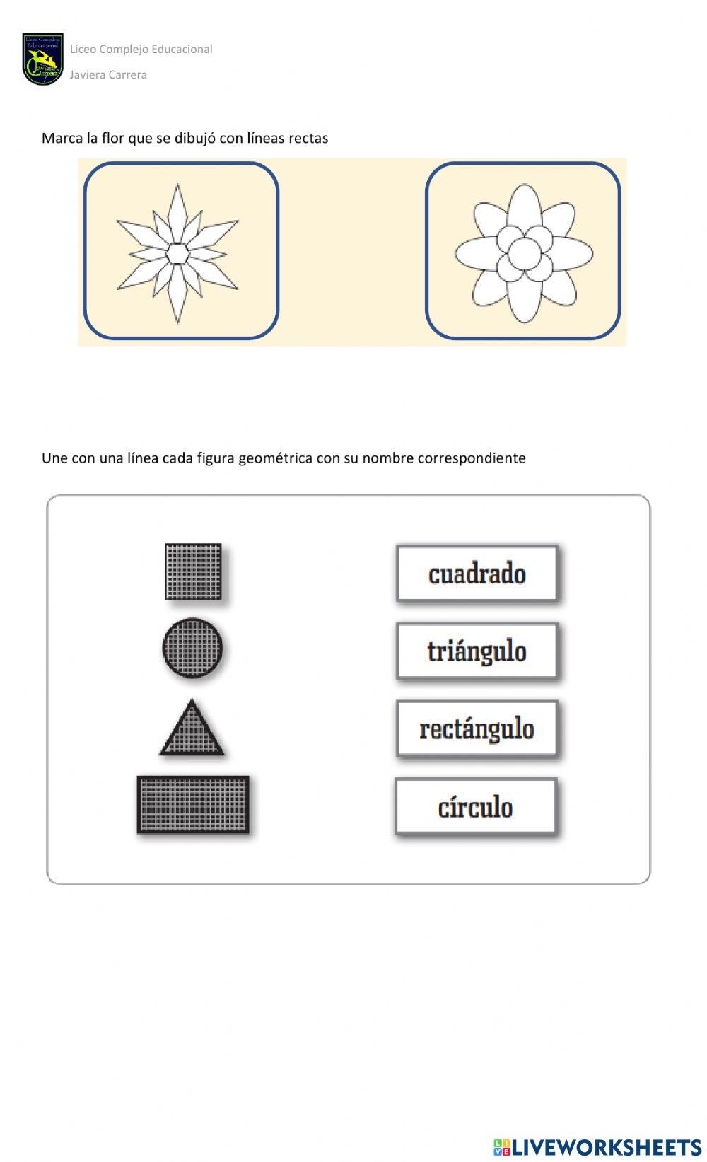 Evaluación Geometría