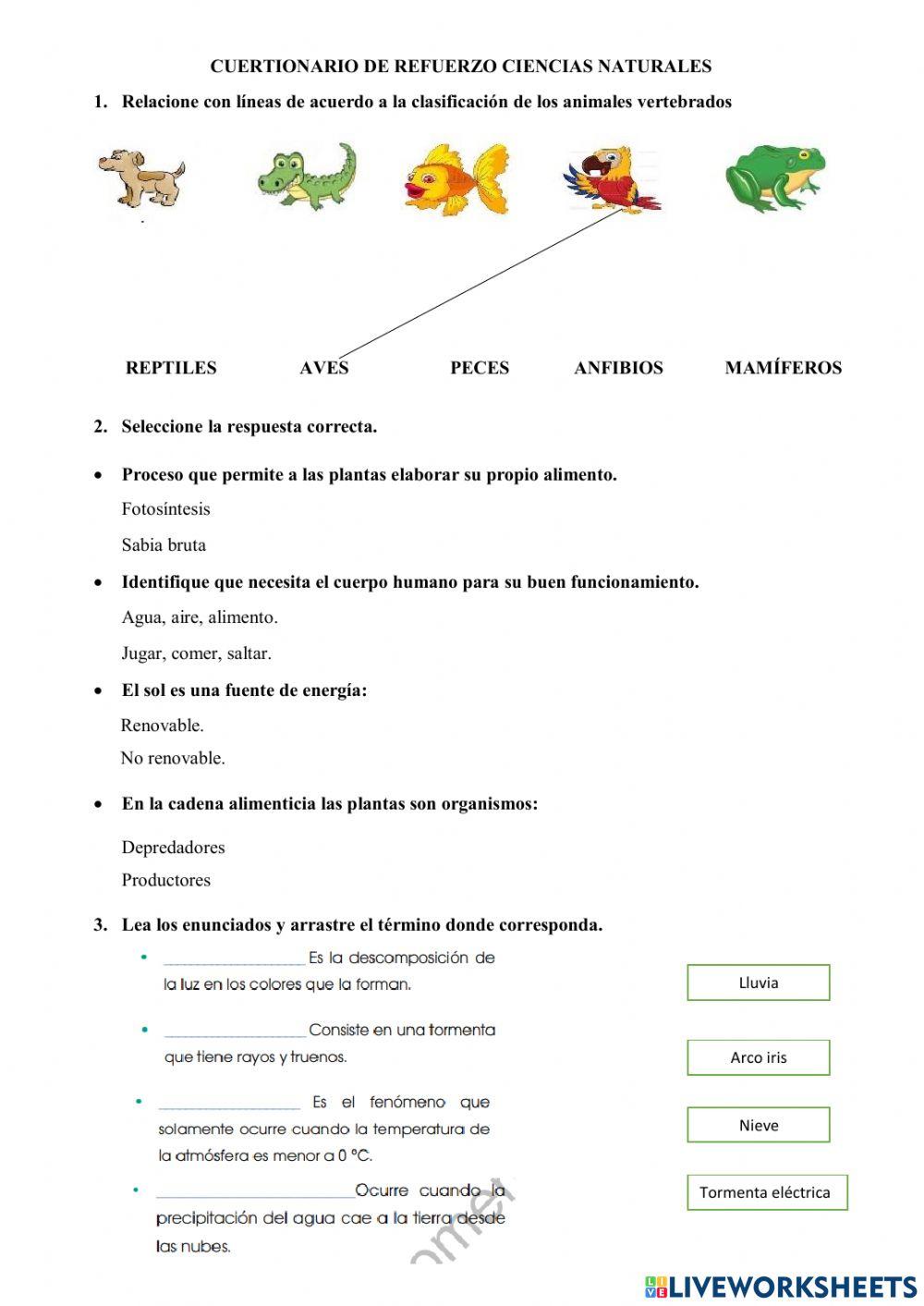 Cuestionario de C. Naturales. 6°