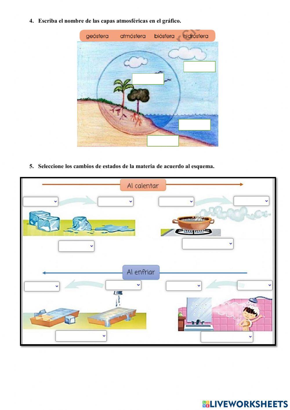 Cuestionario de C. Naturales. 6°