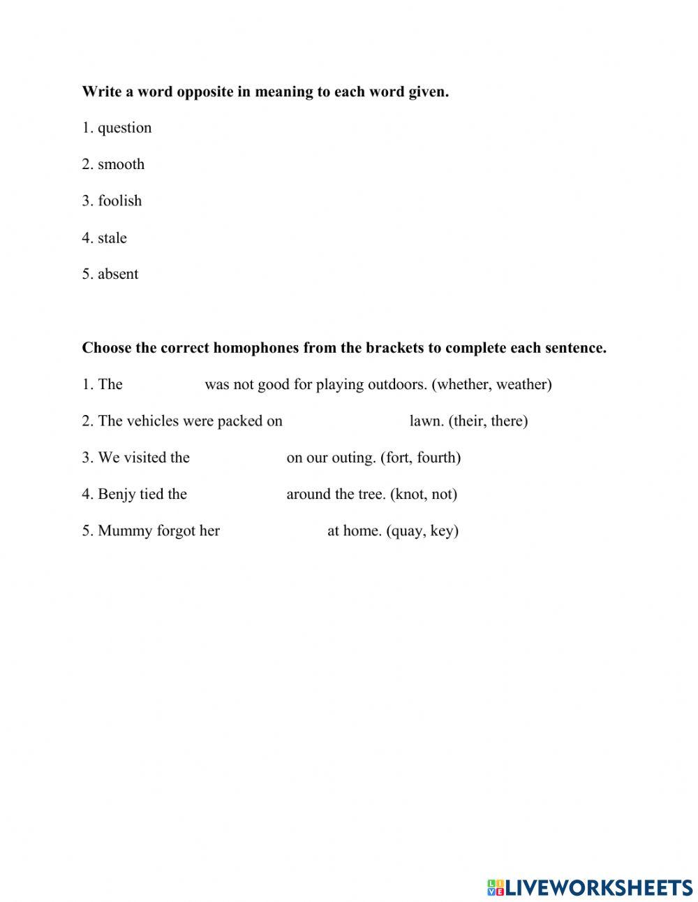 Language Arts test term 3