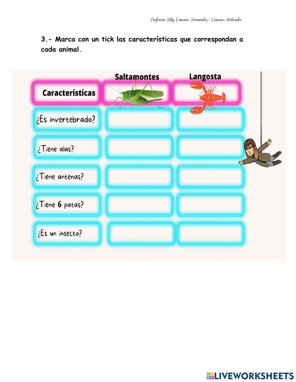 Evaluación Ciencias vertebrados e invertebrados