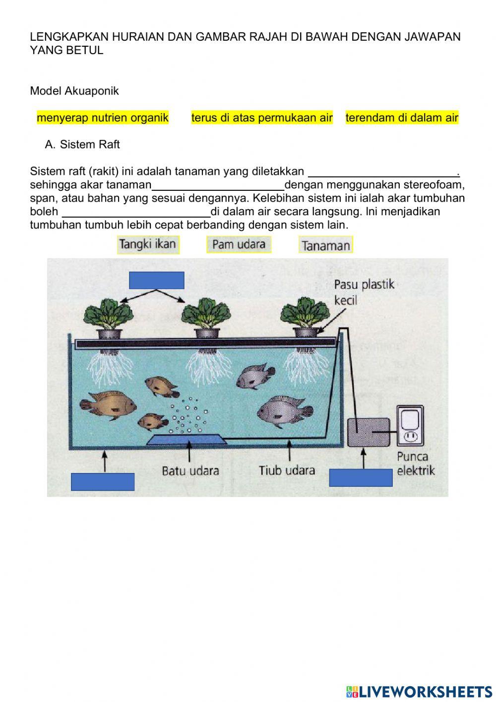 Latihan reka bentuk akuaponik 2