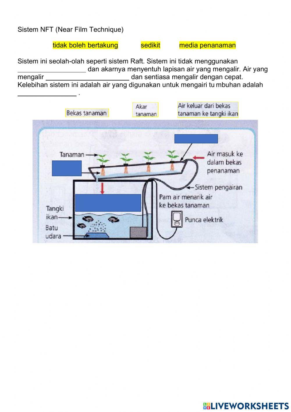 Latihan reka bentuk akuaponik 2