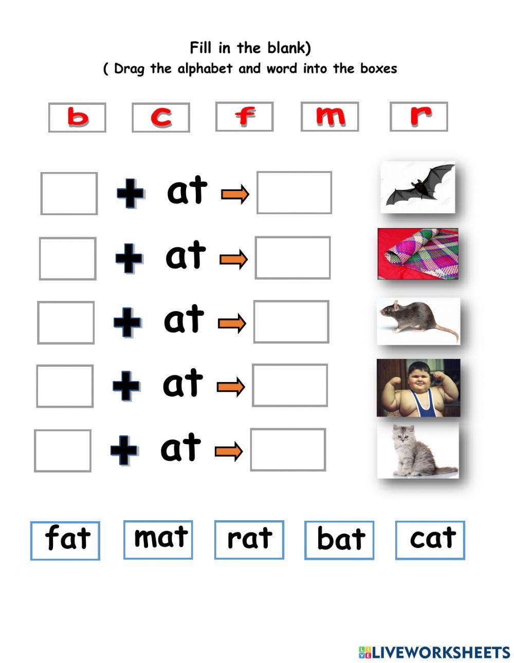 Vowel and consonant letters