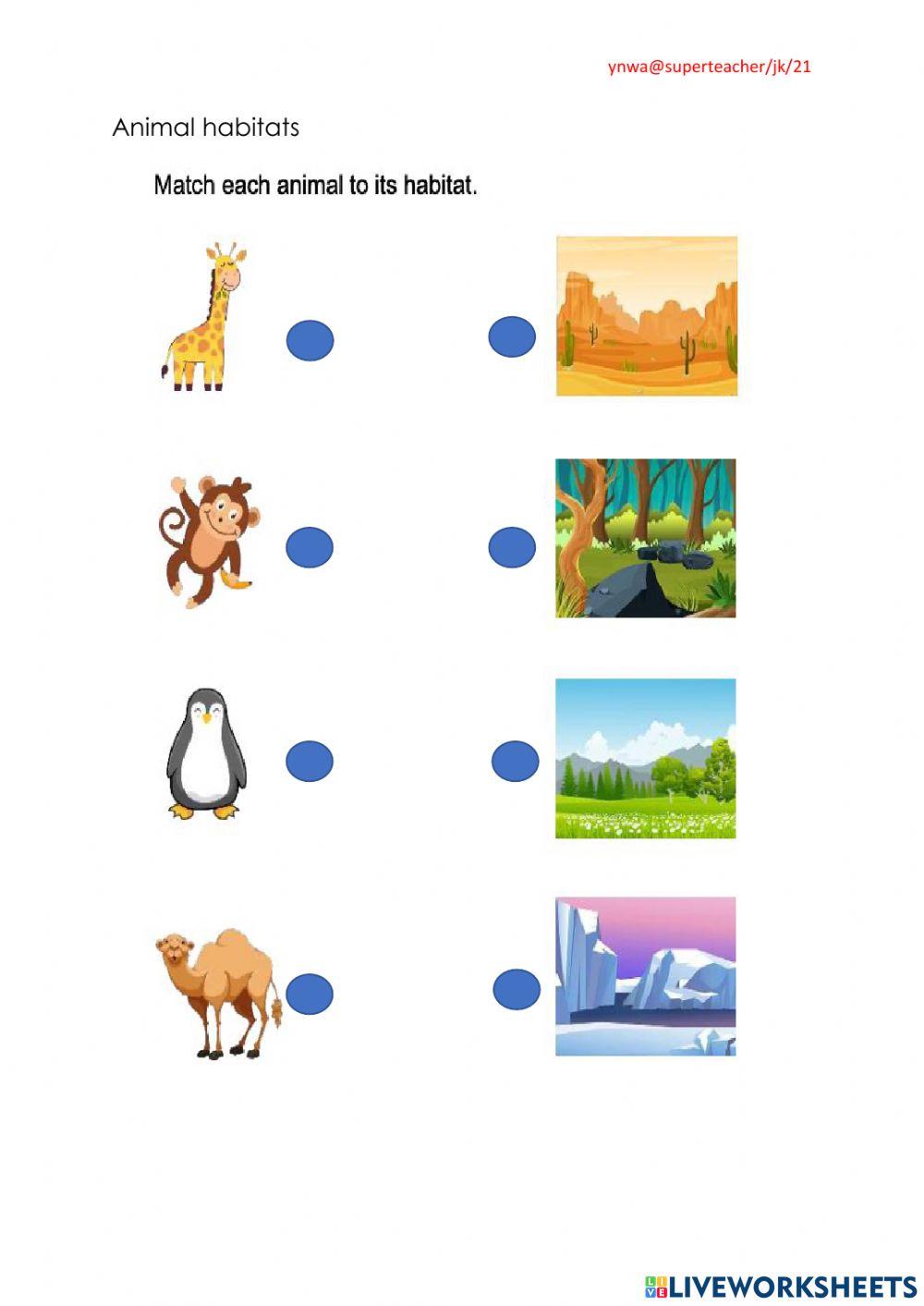 Animal habitats
