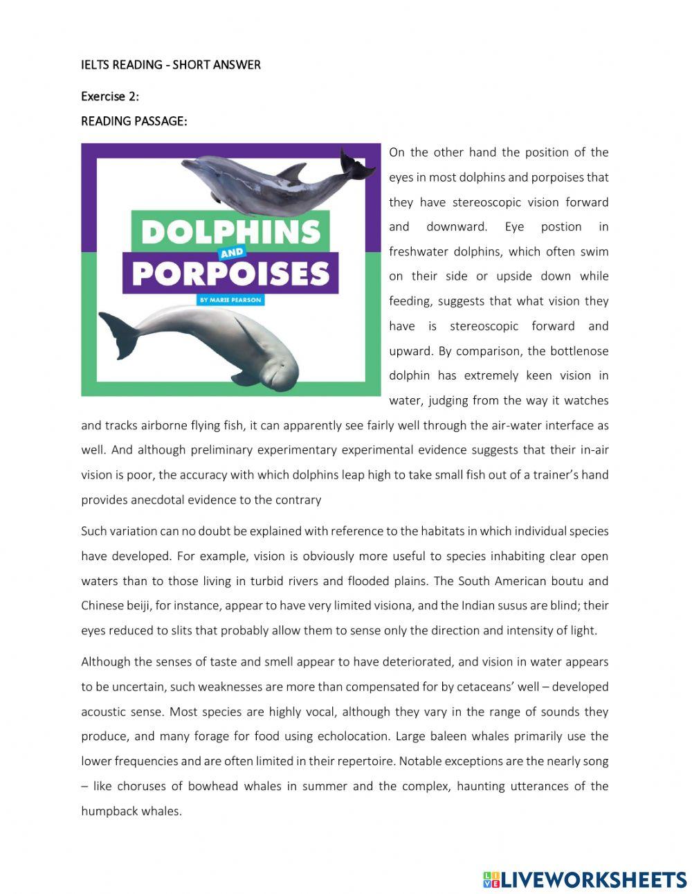 B1 - Short answer questions - Ex2