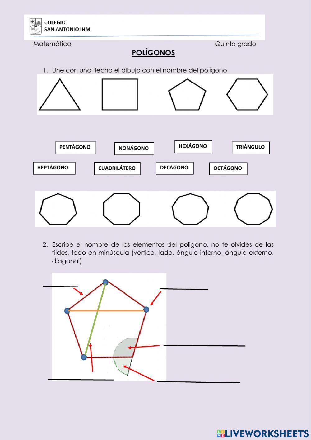 Polígonos y sus partes