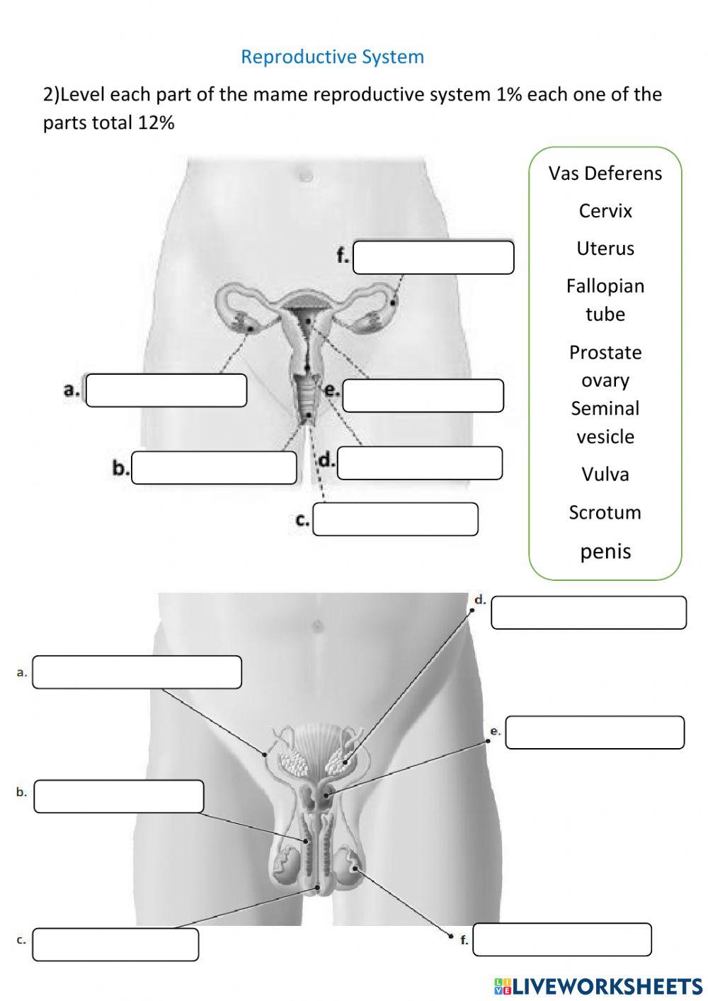 4th grade Science Evaluation