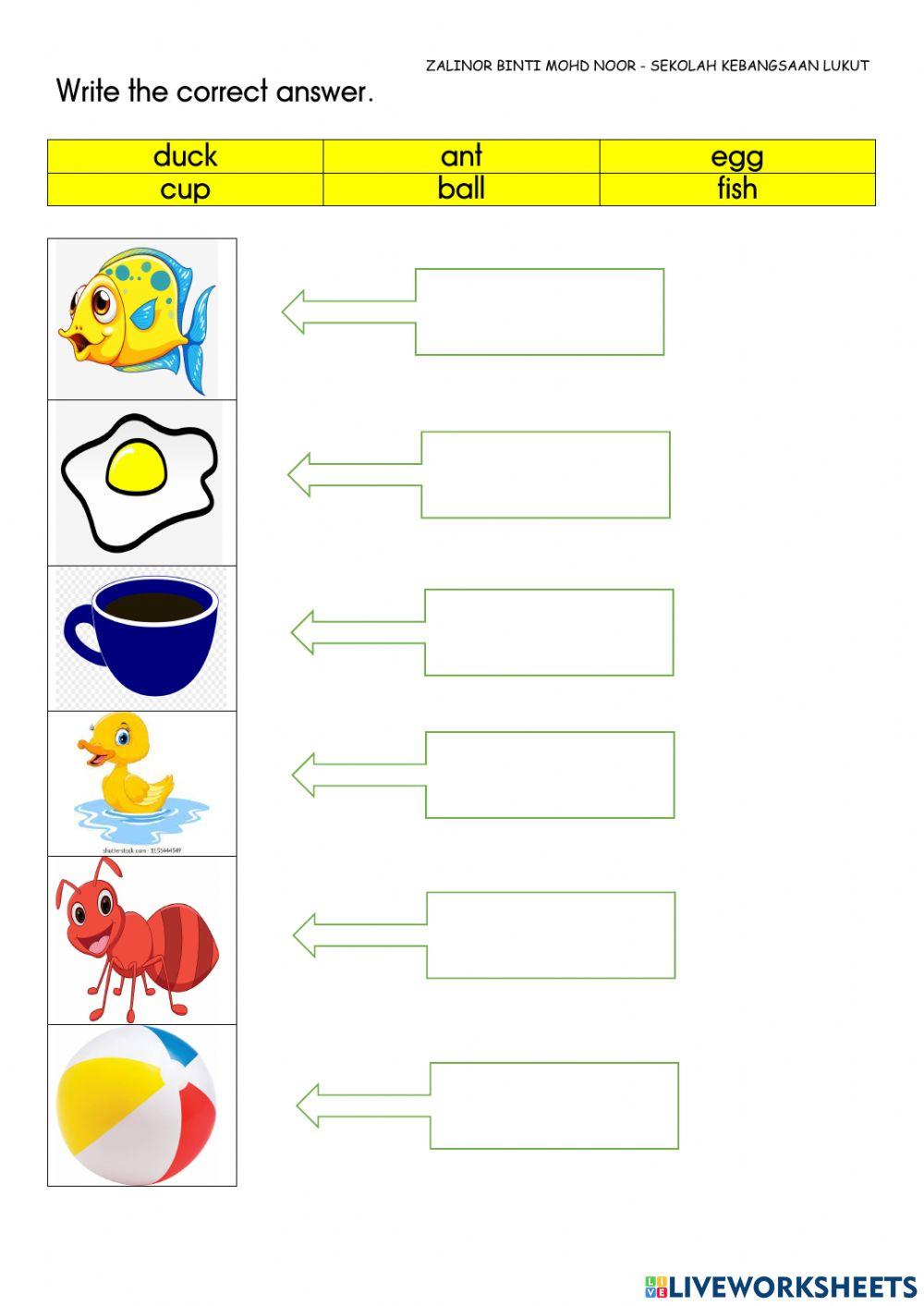 Things interactive activity for preschool | Live Worksheets