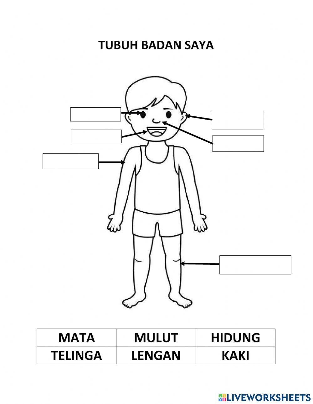 Tubuh badan