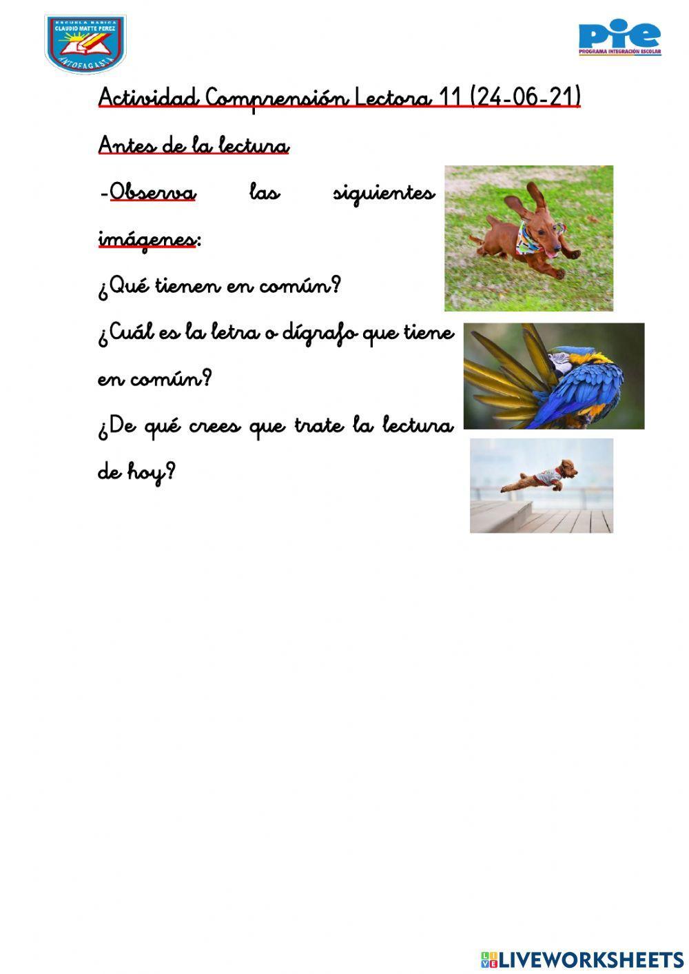 Actividad 11 Comprensión Lectora Personalizado