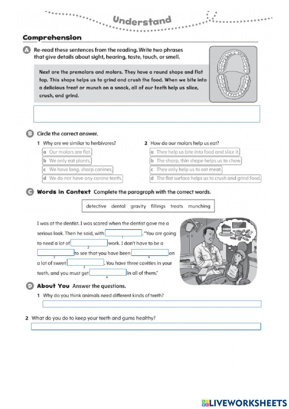 How do different animals eat? reading comprehension