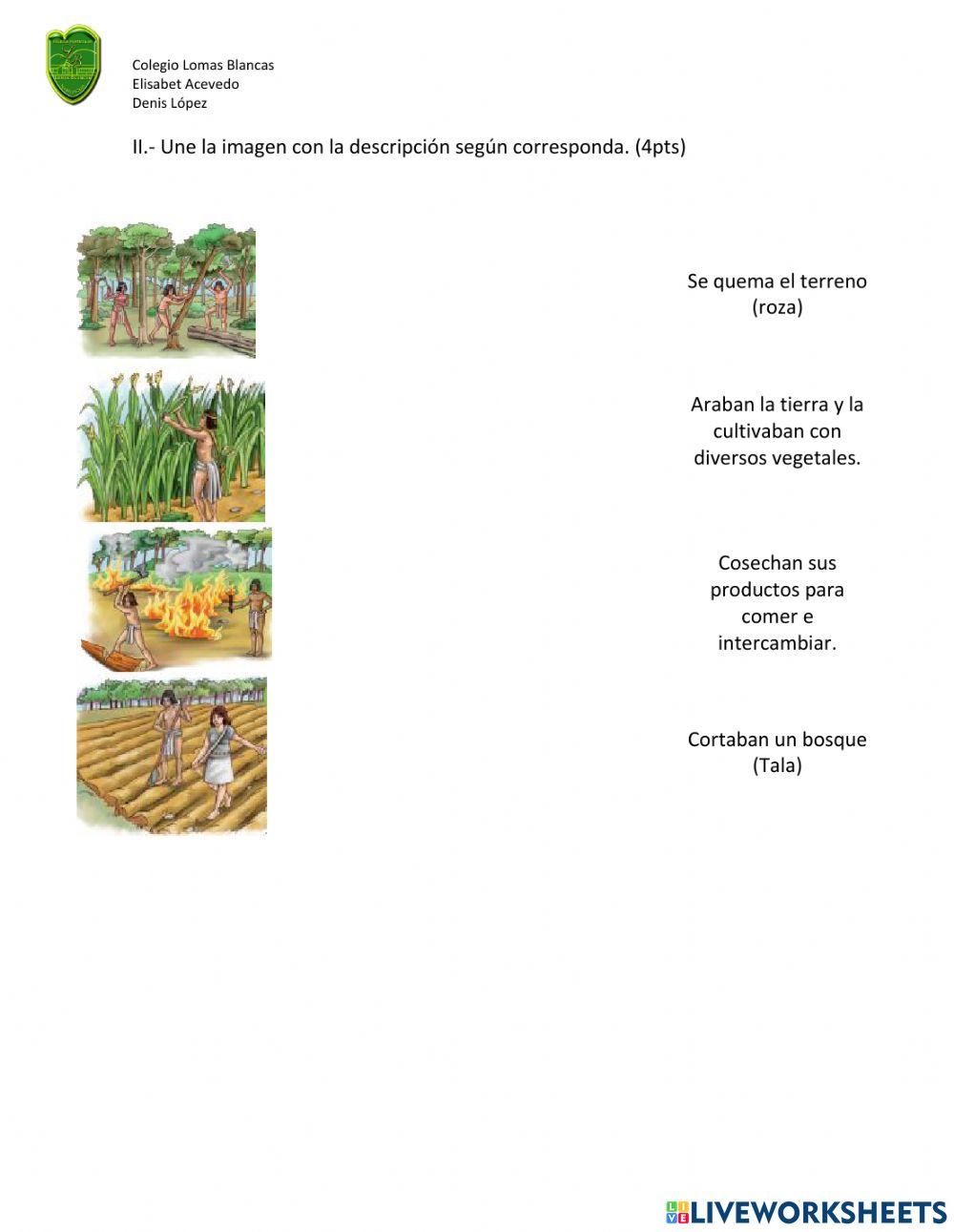 Evaluacion de los Mayas