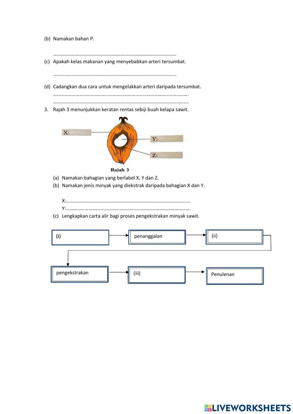 Latihan pengukuhan bab 5