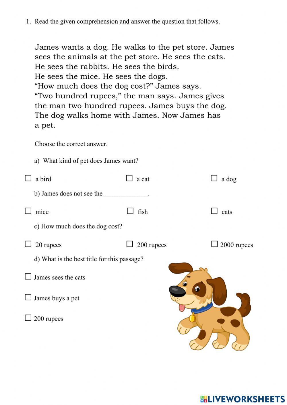 Reading Comprehension