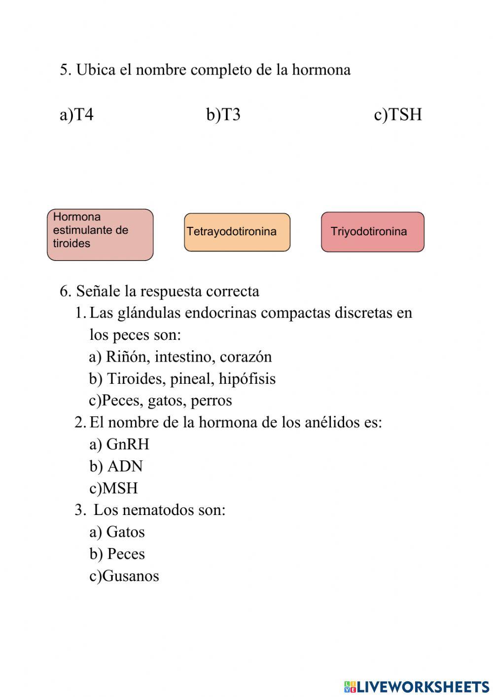 Glandulas y hormonas animales