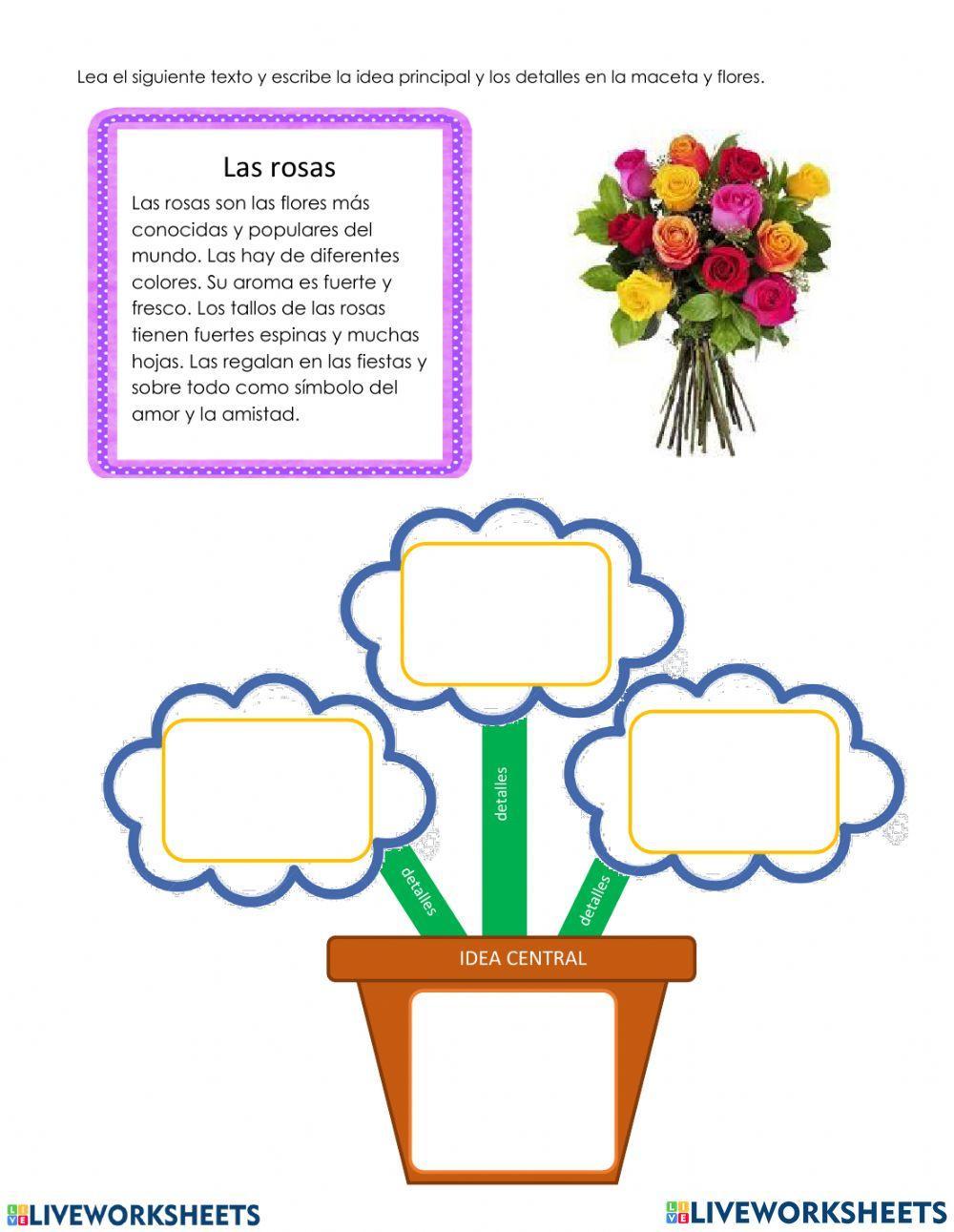 El párrafo (idea principal)