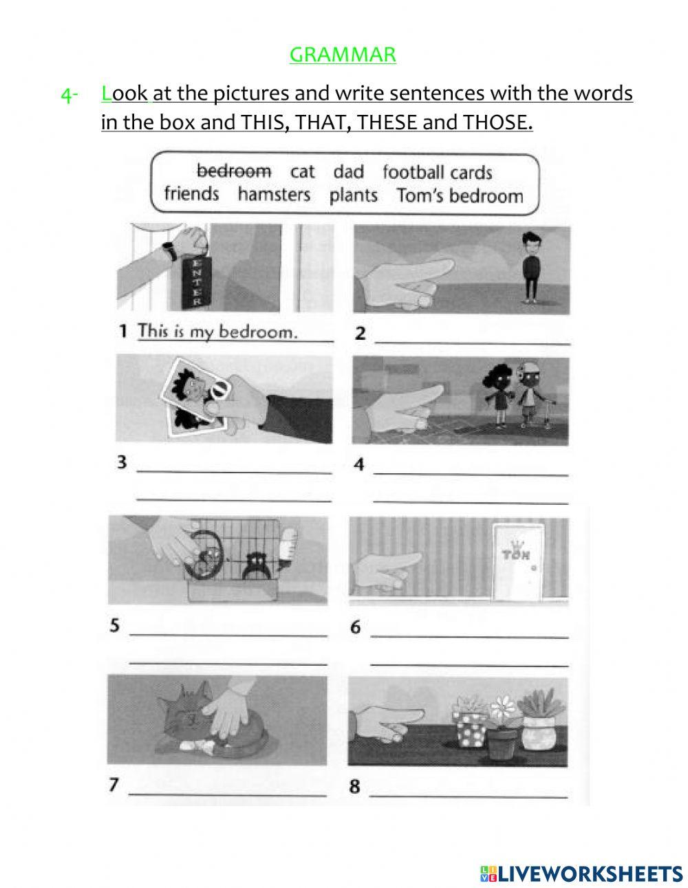 Vocabulary and grammar