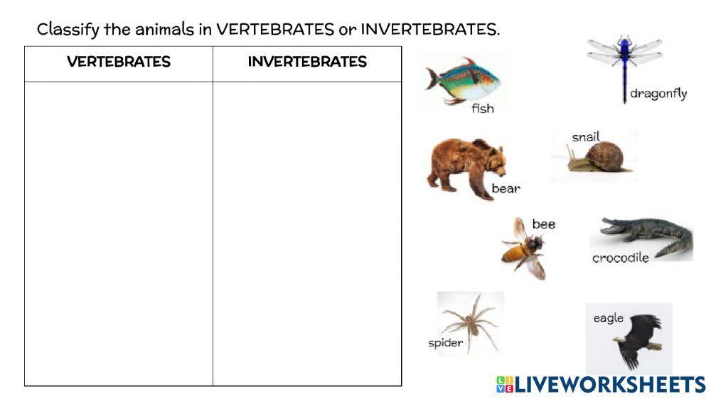 Vertebrates and Invertebrates