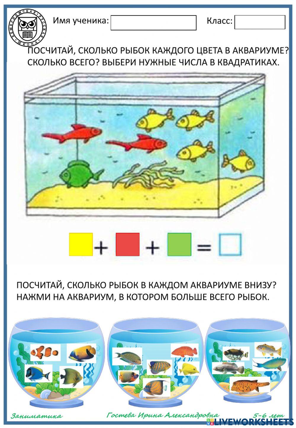 когда спят рыбки в аквариуме