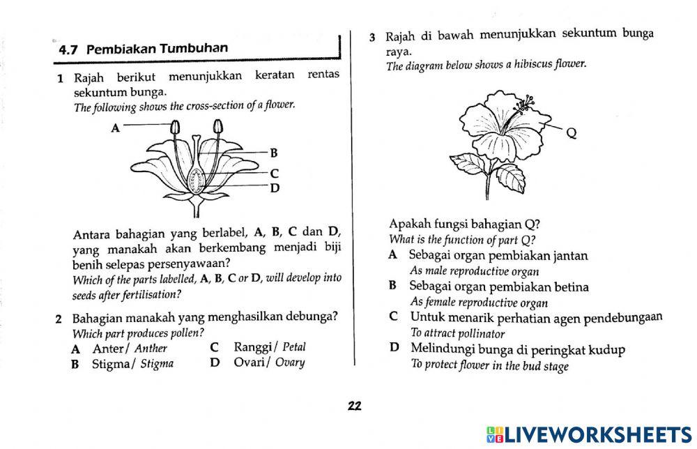 REPRODUCTION IN pLANTS